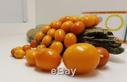 Necklace Natural Amber Baltic Bead Old 37,4g Vintage R-001