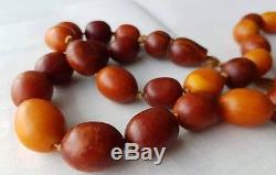Old Antique Natural Baltic Amber Butterscotch Egg Yolk Bead Necklace 42.52 Grams