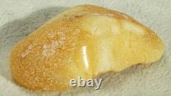 Old Baltic Amber Natural Stone 10 Grams Oval Fat Form With Seashell Fingerprint
