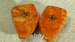 Old Baltic Natural Amber 2 Stones 6 Grams Collectible Rare Red! Colour