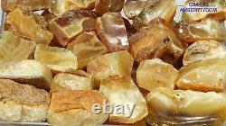 Old Baltic Natural High Class Amber Stones 287 G Fedex Fast Days Worldwide Ship