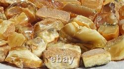 Old Baltic Natural High Class Amber Stones 287 G Fedex Fast Days Worldwide Ship