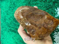 Old Marbel Baltic Amber stone (335g.)