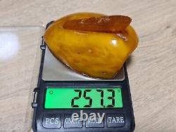 Old Natural Genuine Baltic Amber Stone 257 Gr