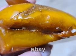 Old Natural Genuine Baltic Amber Stone 257 Gr