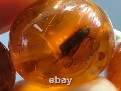 Old Vintage HUGE Natural BALTIC AMBER NECKLACE 2 Insects OLIVE Beads 198 g 9139