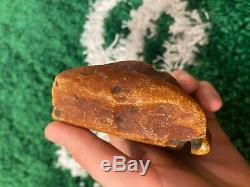 Old Yellow white color Baltic Amber stone (279 g.)