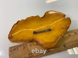 Old natural baltic amber stone brooch 42gr