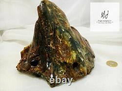 Poland 754 g Raw Natural Baltic Amber Gemstone