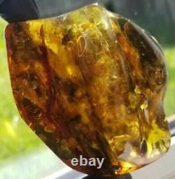 Polished Amber Baltic stones 5 insect inclusion Pendant 114 g Midge Mosquitoes