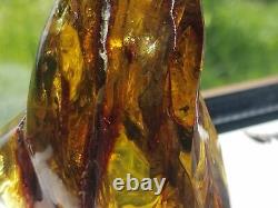 Polished Amber Baltic stones 5 insect inclusion Pendant 114 g Midge Mosquitoes