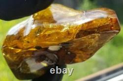 Polished Amber Baltic stones 5 insect inclusion Pendant 114 g Midge Mosquitoes