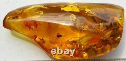 Polished Amber Baltic stones 5 insect inclusion Pendant 20 g Midge Mosquitoes