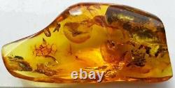 Polished Amber Baltic stones 5 insect inclusion Pendant 20 g Midge Mosquitoes