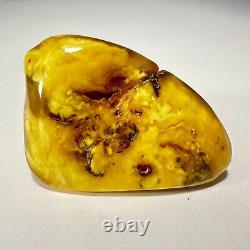 Polished Baltic Amber Stone 67g Yellow Butterscotch Egg Yolk Natural