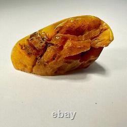 Polished Baltic Amber Stone 67g Yellow Butterscotch Egg Yolk Natural