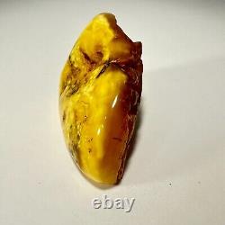 Polished Baltic Amber Stone 67g Yellow Butterscotch Egg Yolk Natural