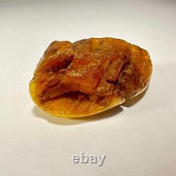 Polished Baltic Amber Stone 67g Yellow Butterscotch Egg Yolk Natural