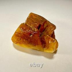 Polished Baltic Amber Stone 67g Yellow Butterscotch Egg Yolk Natural