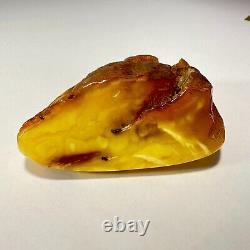 Polished Baltic Amber Stone 67g Yellow Butterscotch Egg Yolk Natural