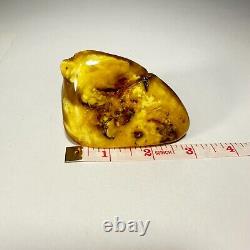 Polished Baltic Amber Stone 67g Yellow Butterscotch Egg Yolk Natural