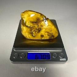 Polished Baltic Amber Stone 67g Yellow Butterscotch Egg Yolk Natural