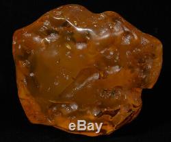 Polished Natural Baltic AMBER Stone rough raw 469 gr #2102P YOLK BUTTERSCOTCH