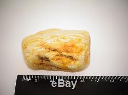 RARE Antique Vintage Natural Baltic White Amber 28.9 Grams