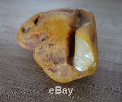RARE Natural Antique 314 gr. Butterscotch Egg Yolk Baltic Amber Sea stone