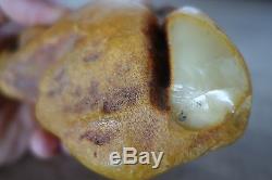 RARE Natural Antique 314 gr. Butterscotch Egg Yolk Baltic Amber Sea stone