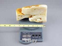Rare White Large Natural Polished Baltic Amber 862 Gram Specimen No Reserve