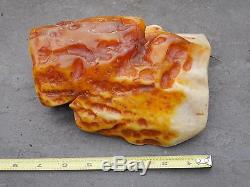 Rare White Large Natural Polished Baltic Amber 862 Gram Specimen No Reserve