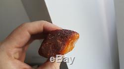 Rarity! Wonderful, very old piece of natural egg yolk amber from the Baltic Sea
