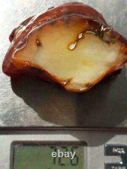Raw Amber Polished Side Baltic stones natural Pendant 72 g Yellow White Royal