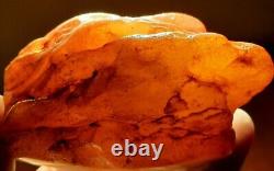 Raw Amber Polished Side Baltic stones natural Pendant 73 g Yellow White Royal