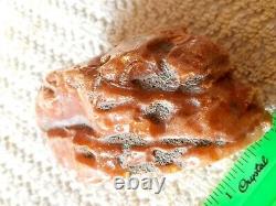 Raw Amber Polished Side Baltic stones natural Pendant 85 g Yellow White Royal