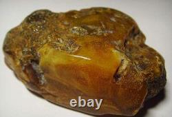 Raw Amber Stone Natural Baltic Amber Stone Amber Gemstone Genuine amber