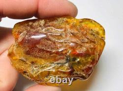 Raw Amber Stone Natural Baltic amber stone kahrab kahrman 19.41gr N38