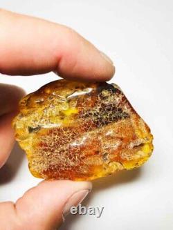 Raw Amber Stone Natural Baltic amber stone kahrab kahrman 19.41gr N38