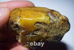 Raw Amber Stone Natural Raw Amber Stone Amber Gemstone Raw Baltic amber piece