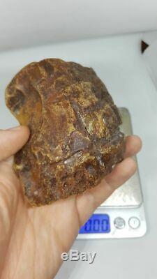 Raw Amber Stone Rock Natural 178 gr Kahrman Misbah Tesbih Baltic Tiger Bernstein