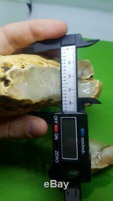 Raw Amber Stone Rock Natural 198 gr Kahrman Misbah Tesbih White Baltic Tiger WOW