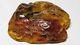 Raw Amber Stone rock 100% Natural Baltic amber stone Genuine Amber 19.41gr N38