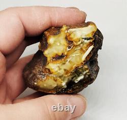 Raw Amber Stone rock 56.2g 100% Natural Baltic amber stone kahrab kahrman misbah