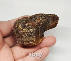 Raw Amber Stone rock 56.2g 100% Natural Baltic amber stone kahrab kahrman misbah