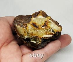 Raw Amber Stone rock 56.2g 100% Natural Baltic amber stone kahrab kahrman misbah