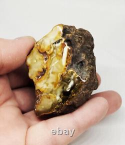 Raw Amber Stone rock 56.2g 100% Natural Baltic amber stone kahrab kahrman misbah