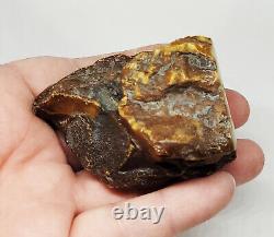 Raw Amber Stone rock 56.2g 100% Natural Baltic amber stone kahrab kahrman misbah