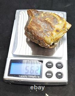 Raw Amber Stone rock 56.2g 100% Natural Baltic amber stone kahrab kahrman misbah