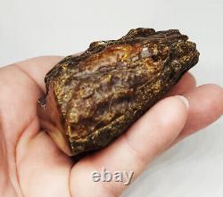 Raw Amber Stone rock 64.4g 100% Natural Baltic amber stone kahrab kahrman misbah